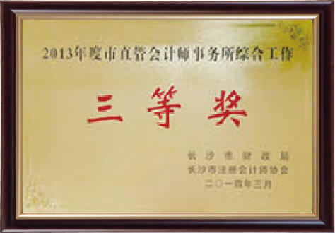 市直管會計師事務所綜合工作三等獎